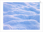 Snow by Assaf Frank